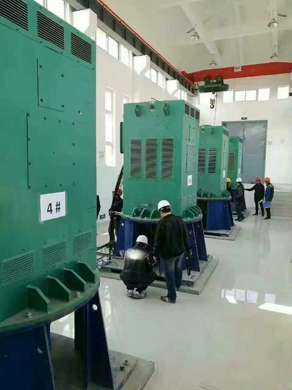 顺昌某污水处理厂使用我厂的立式高压电机安装现场